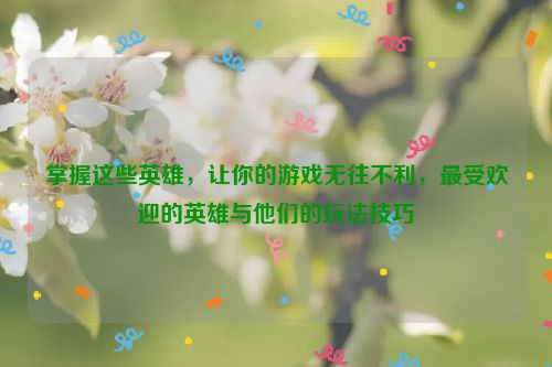 掌握这些英雄，让你的游戏无往不利，最受欢迎的英雄与他们的玩法技巧